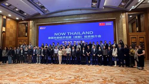 贝西国际|出席泰国东部经济走廊（成都）投资推介会，共筑中泰合作桥梁