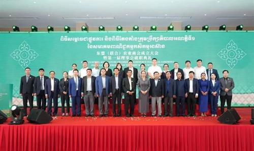 贝西国际柬埔寨团队受邀出席东盟（联合）农业商会成立大会，共探中柬农业合作新机遇